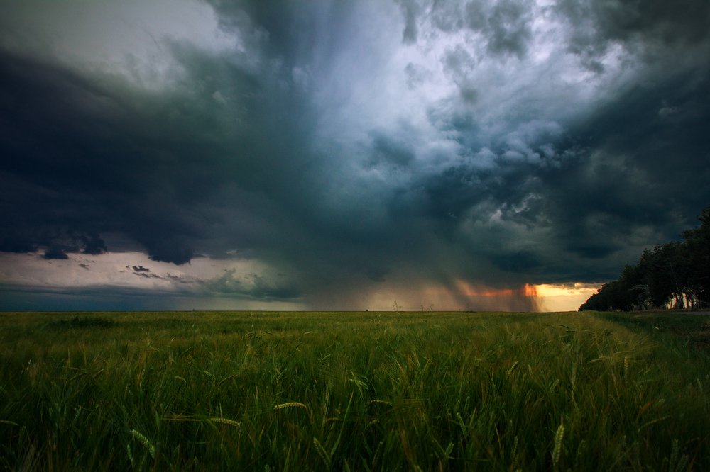 Photograph by Павел Абакумов