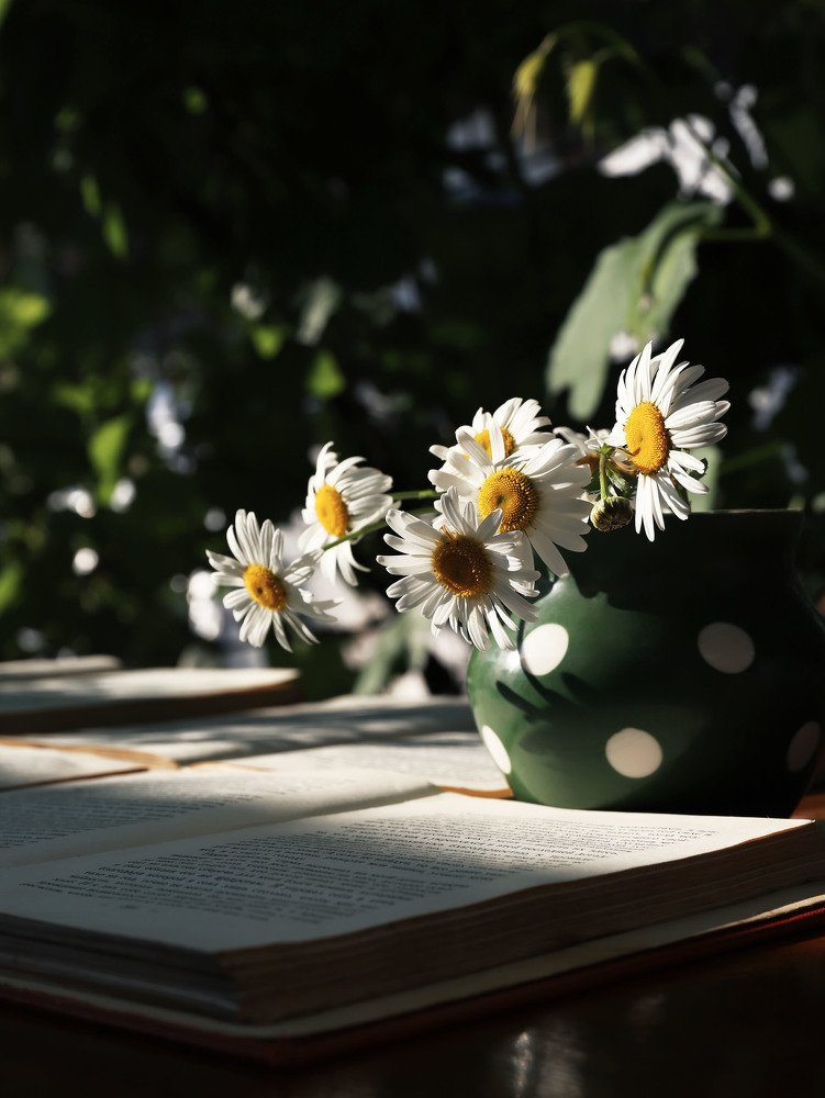 Photograph by Виктория Кузина