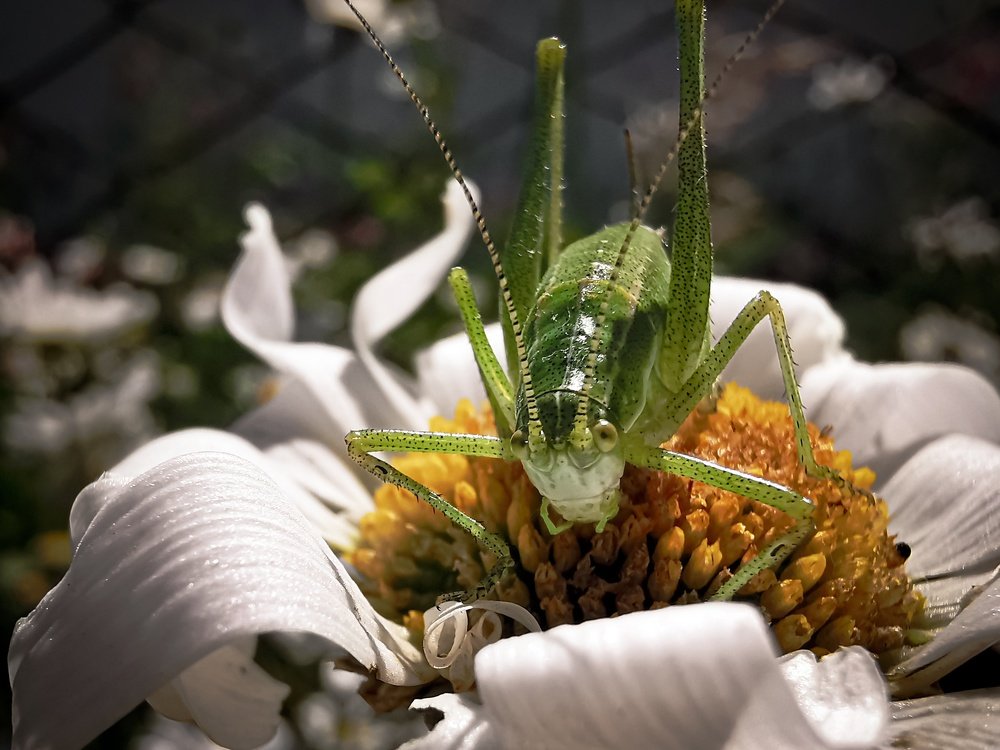 Photograph by Сергей Таранов