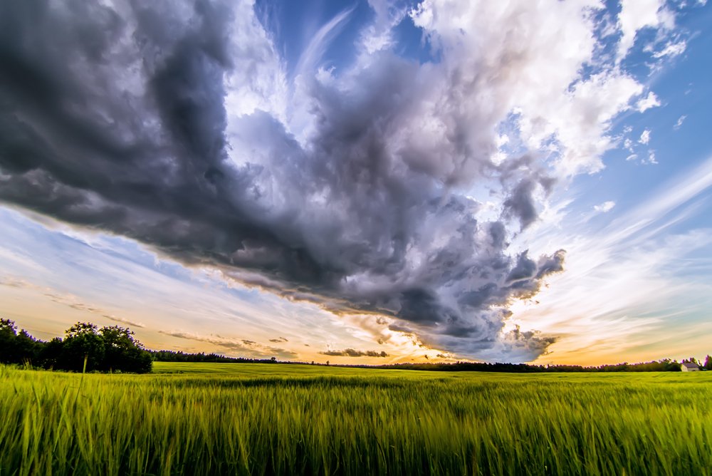 Photograph by Sergey Starostin