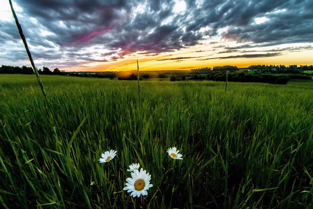 Photograph by Sergey Starostin