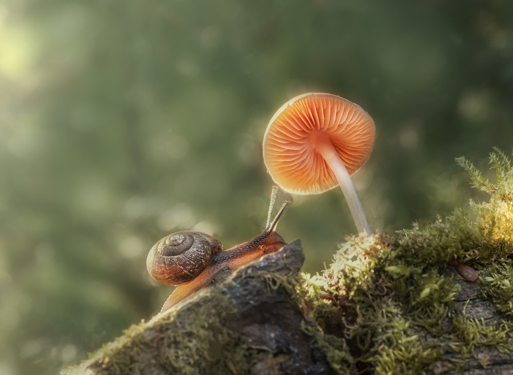 Photograph by Сергей Троицкий