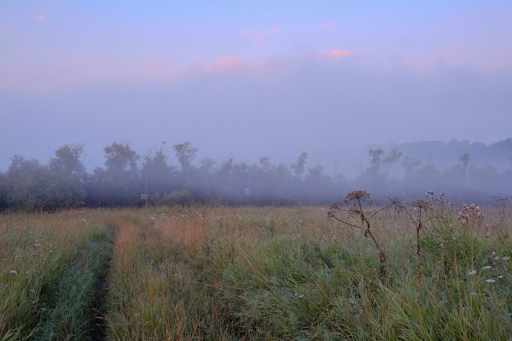 Photograph by Олеся Неволина-Лопатина