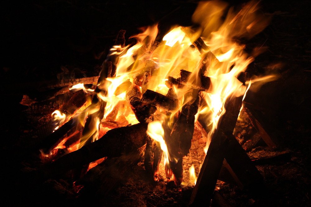 Photograph by Tatiana Barthem