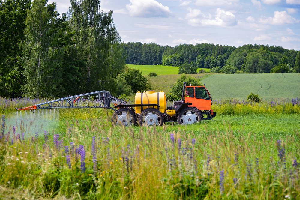Photograph by Эдуард Шадров