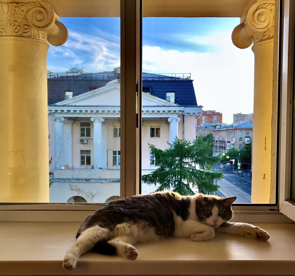 Photograph by Маргарита Гострик