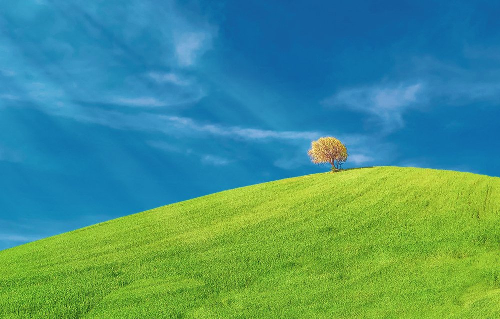 Photograph by Yahya Kakapour