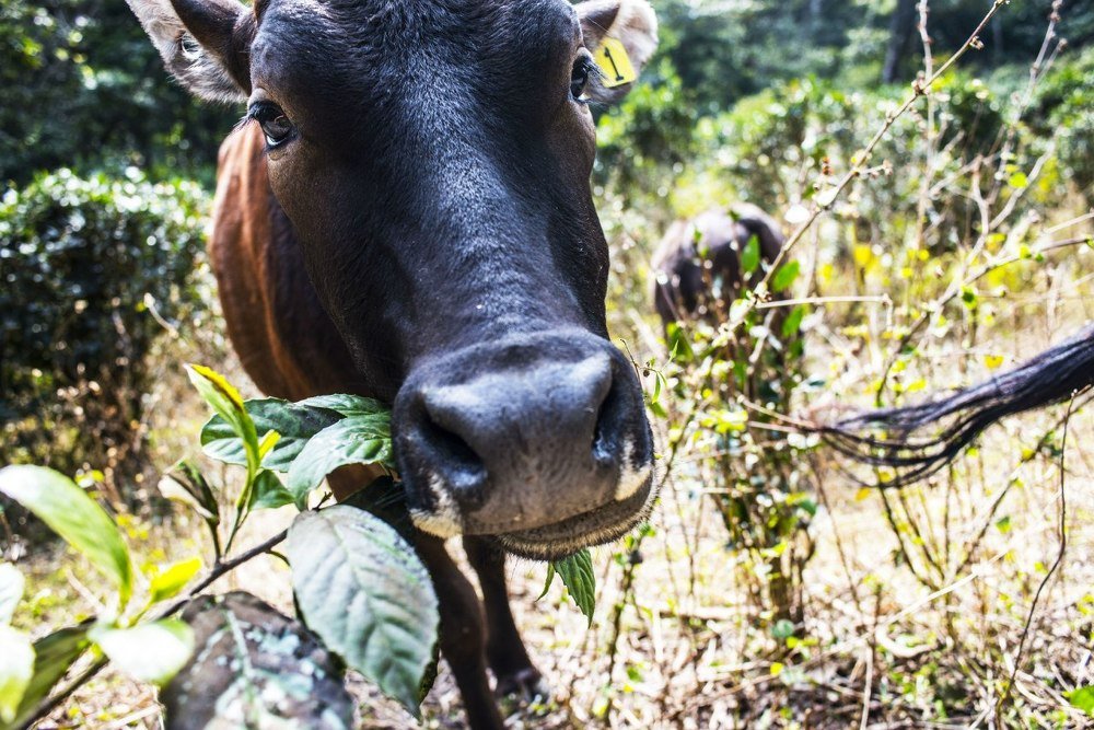 Photograph by Дмитрий Захаров