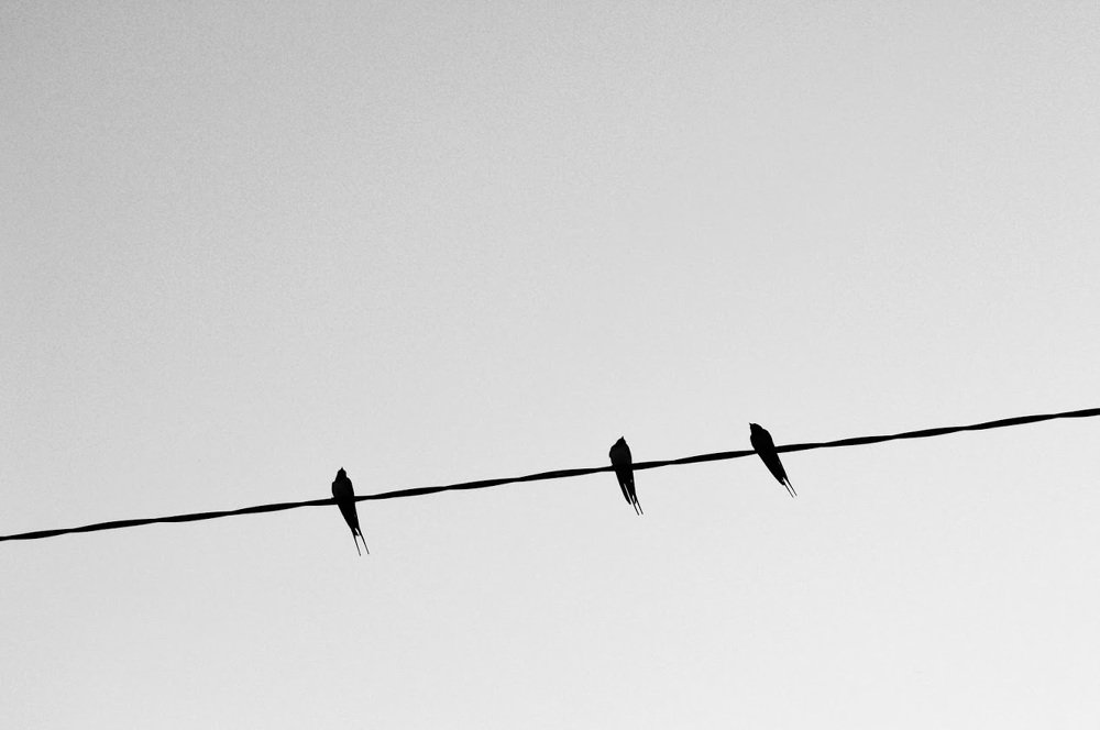 Photograph by Angel Kotevski