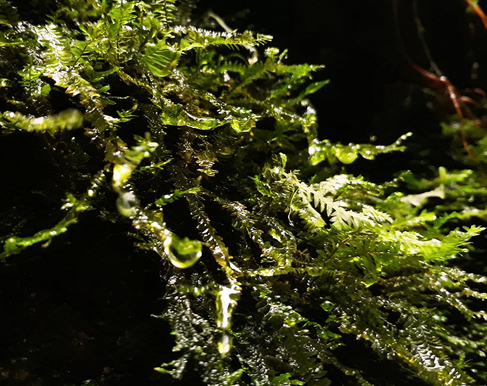 Фотография автора Javier Castillo