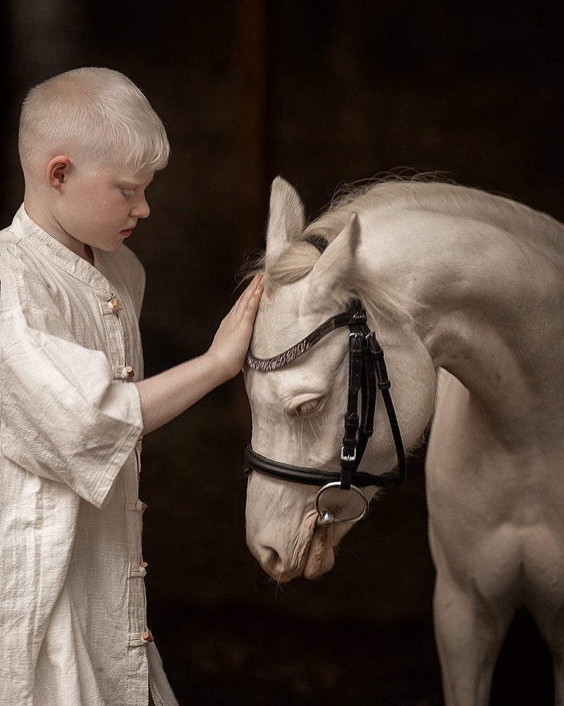 Белая тишина