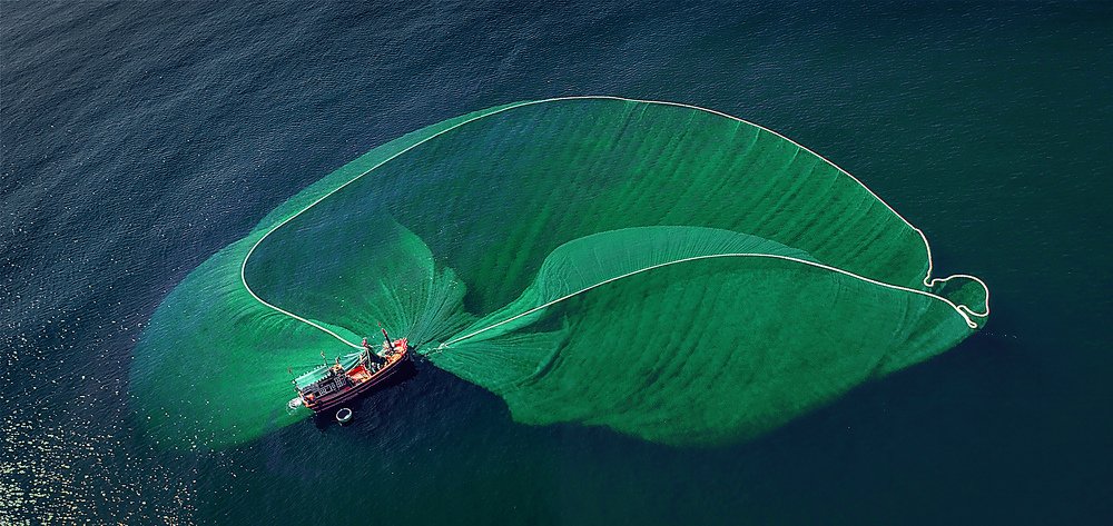 Photograph by Van Dong Nguyen