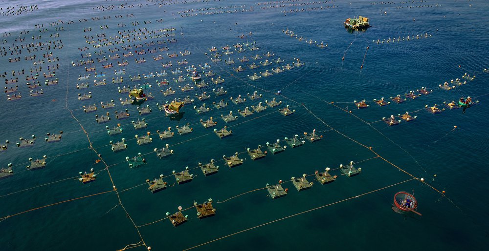 Photograph by Van Dong Nguyen