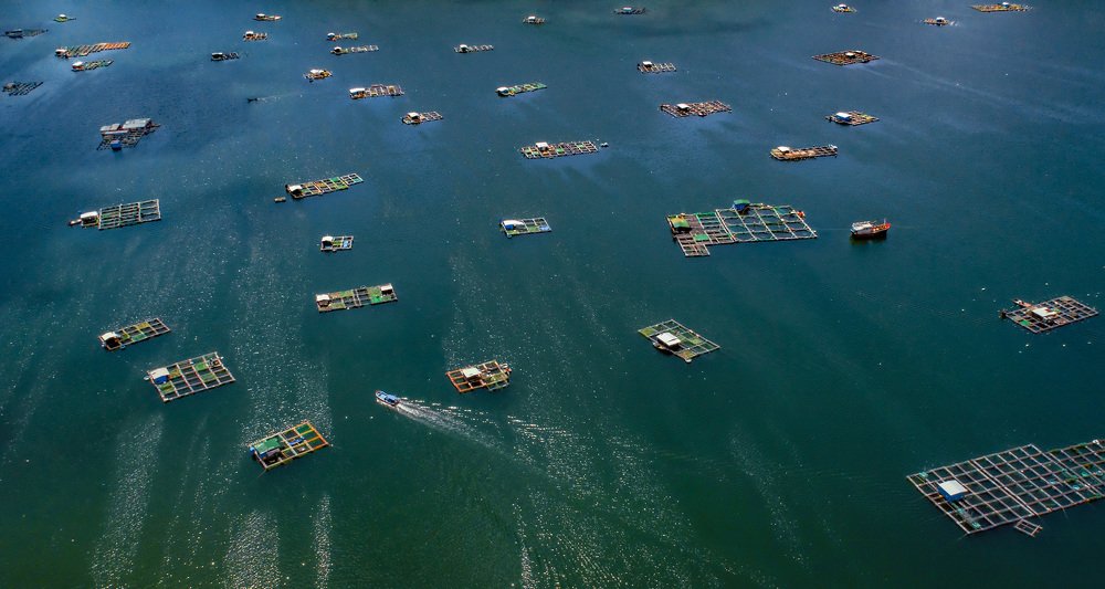 Photograph by Van Dong Nguyen