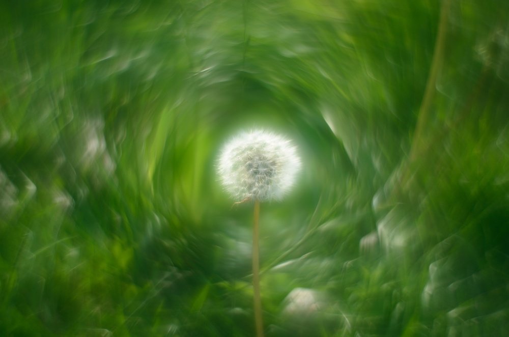 Photograph by Татьяна Холодная