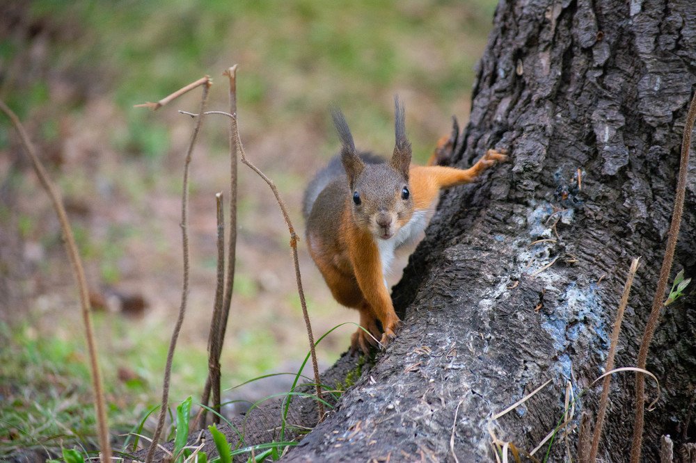 Photograph by Анастасия Мирошникова
