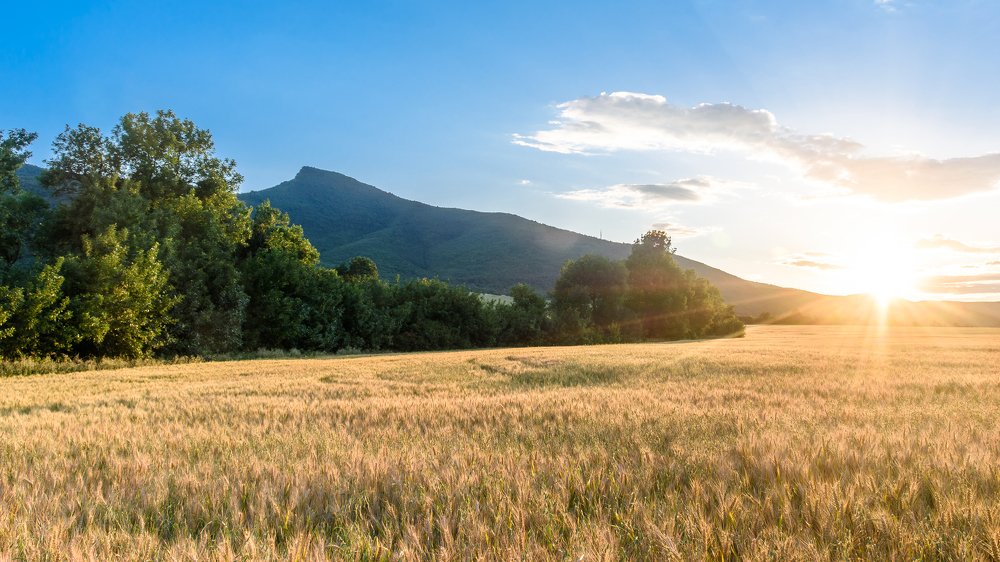 Photograph by Милен Младенов