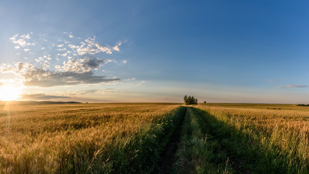 Photograph by Милен Младенов