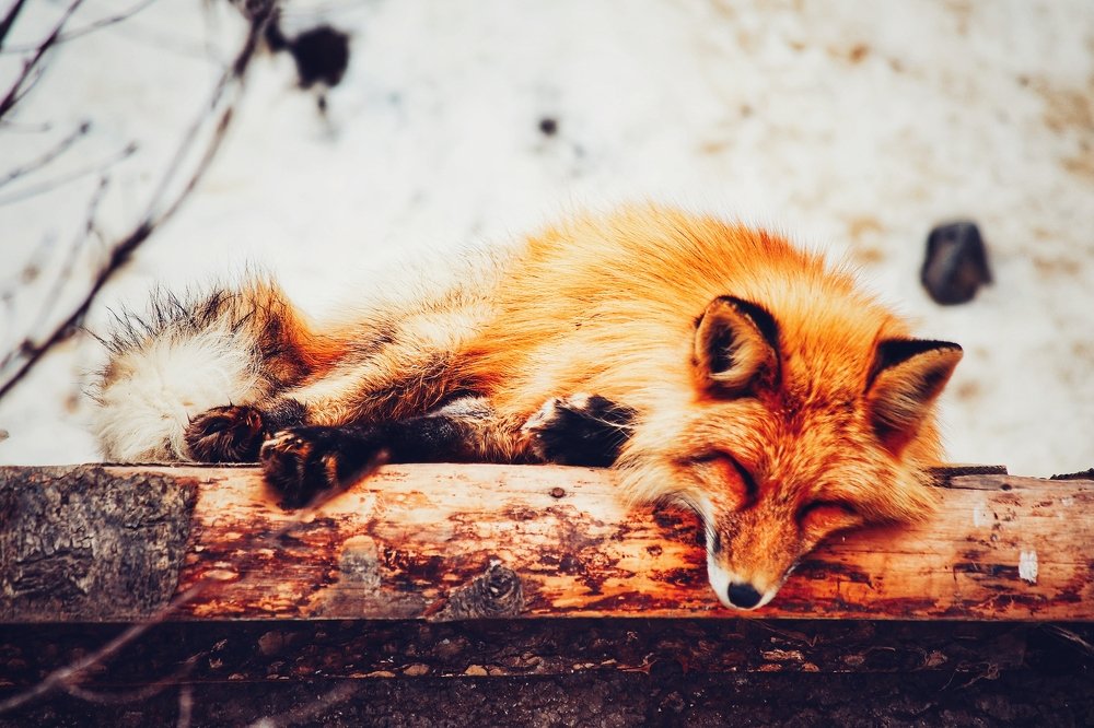 Photograph by Екатерина Цвиркунова