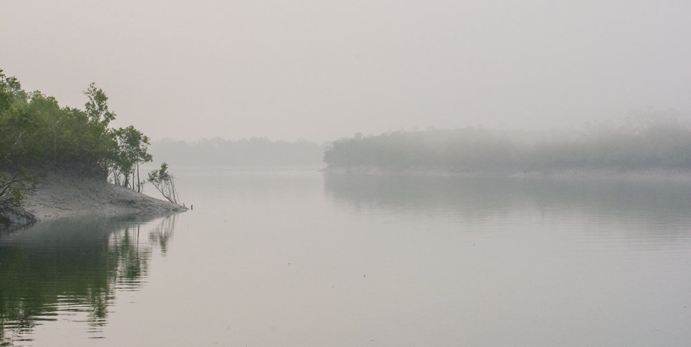 Fog of Sundarban