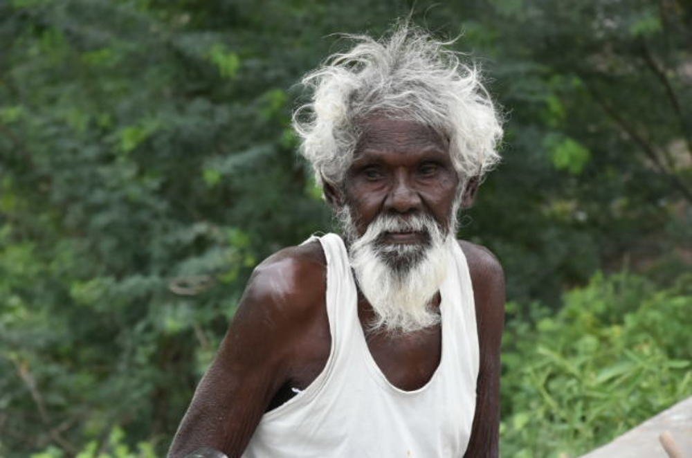 Photograph by IP Pillai