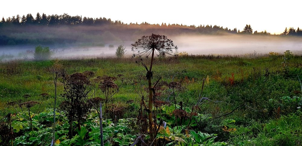 Photograph by Larisa Gella