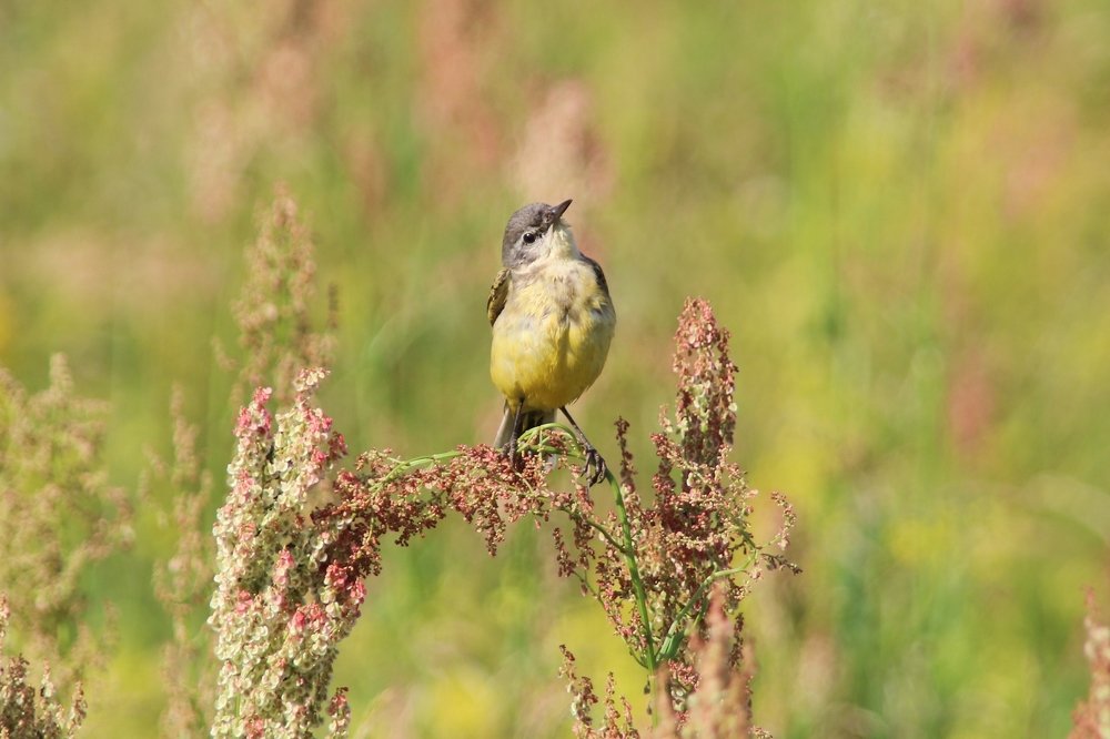 Photograph by Алексей Федулов
