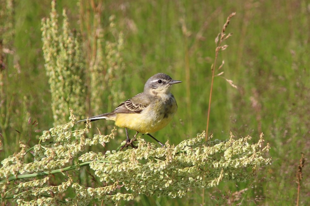 Photograph by Алексей Федулов