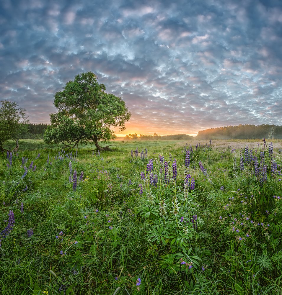 Photograph by Николай Андреев
