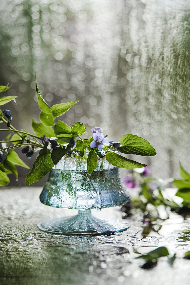 запах дождя