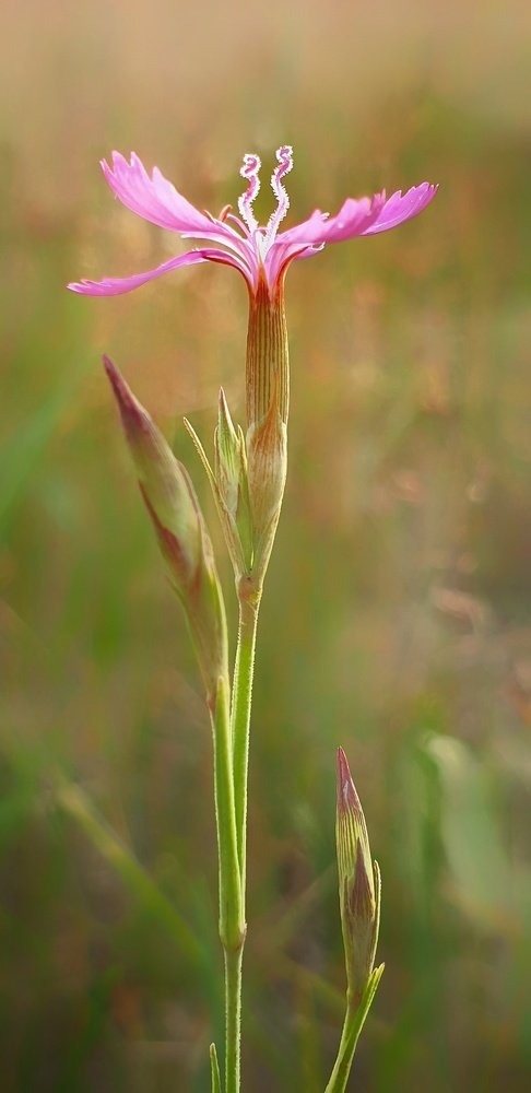 Photograph by Екатерина