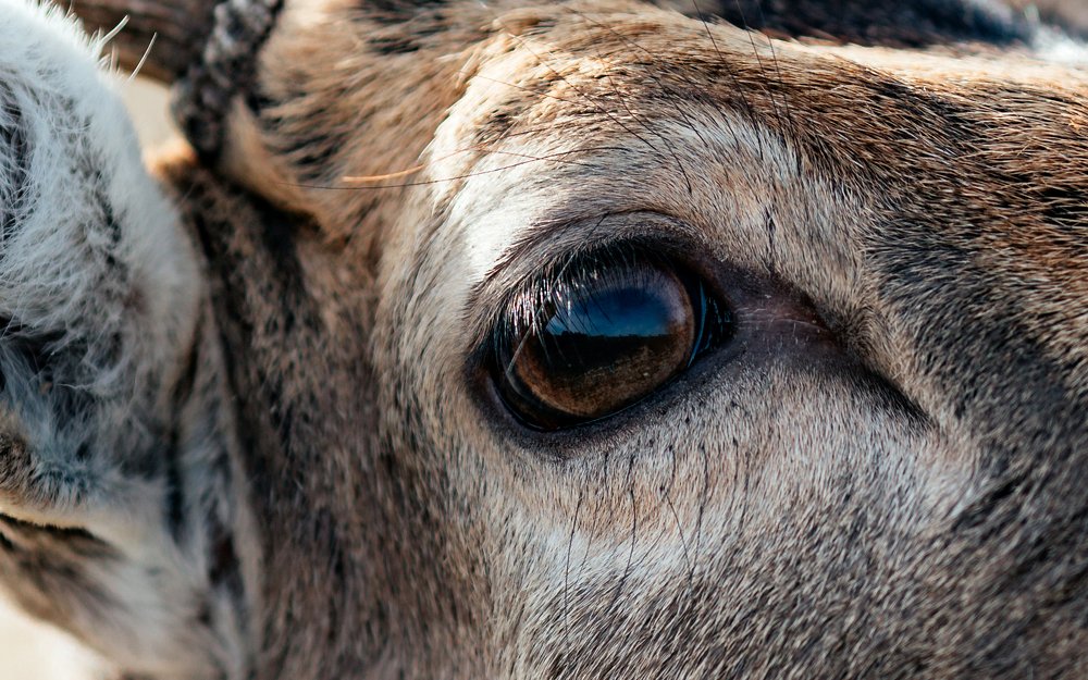 Photograph by Альбина Сагитова