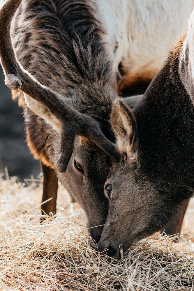 Photograph by Альбина Сагитова