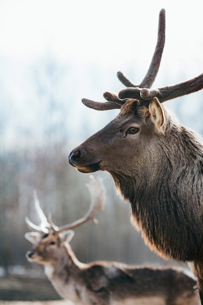 Photograph by Альбина Сагитова