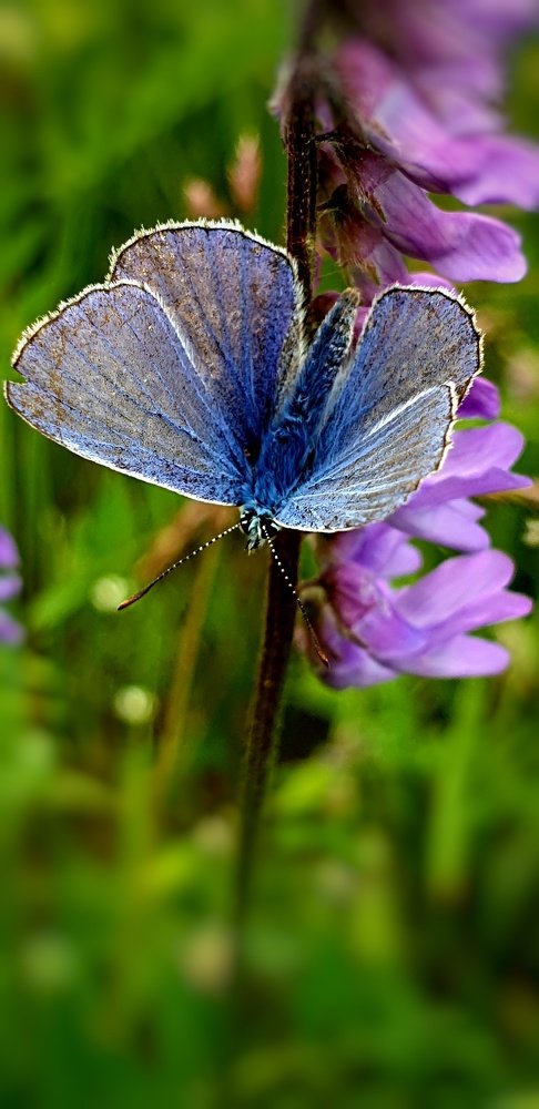 Photograph by Екатерина