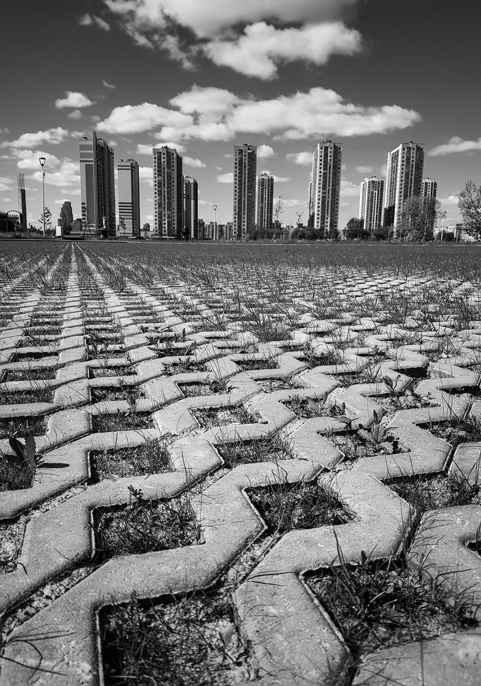 Черно - белое фото.