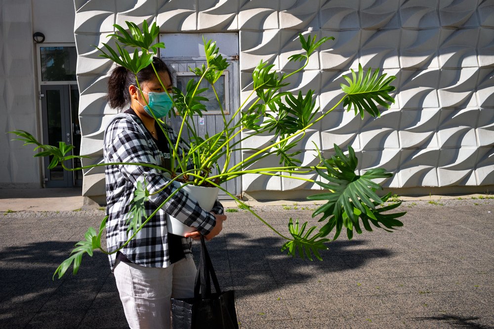 Photograph by jean-pierre damen