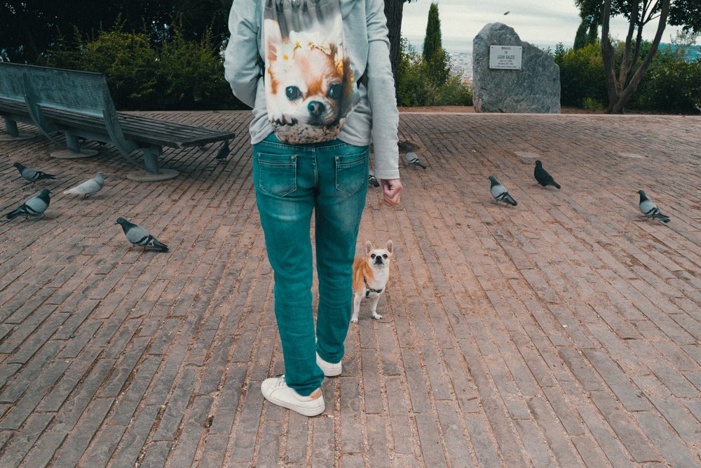 Photograph by Ignasi Raventos