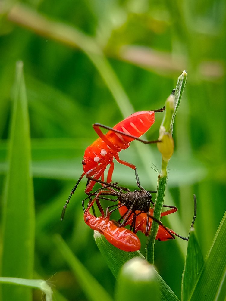 Photograph by Arpita Banik
