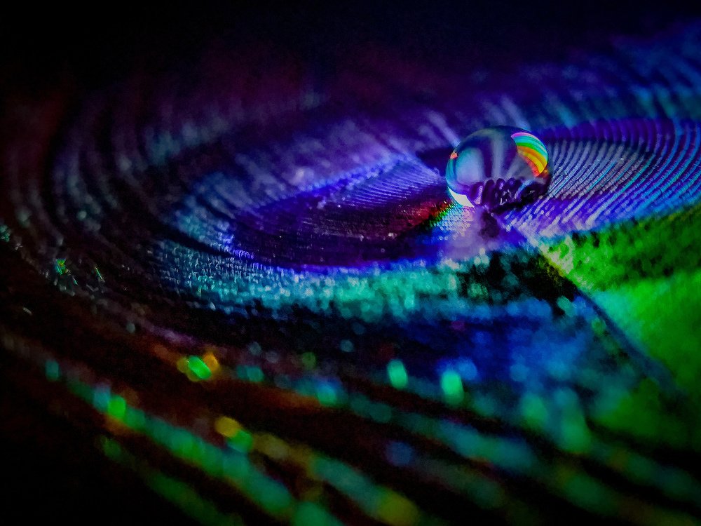 Photo #4701147