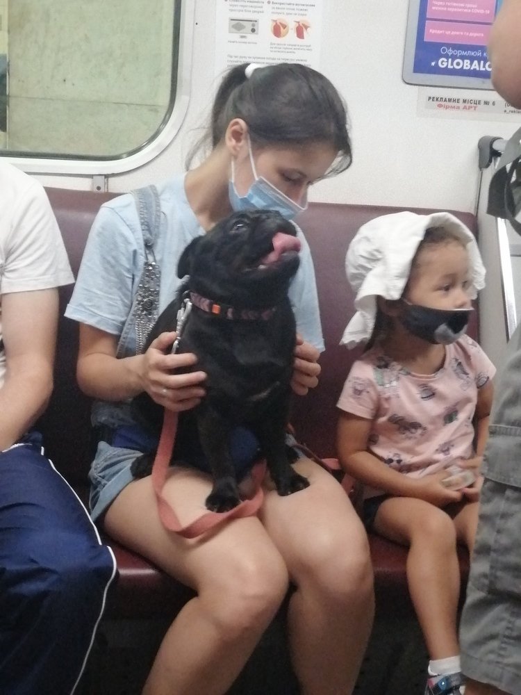 А где моя,, маска