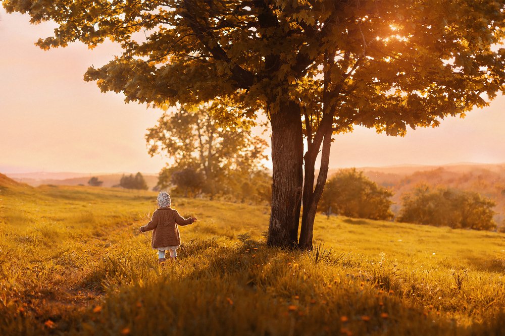 Photograph by Мария Точилкина