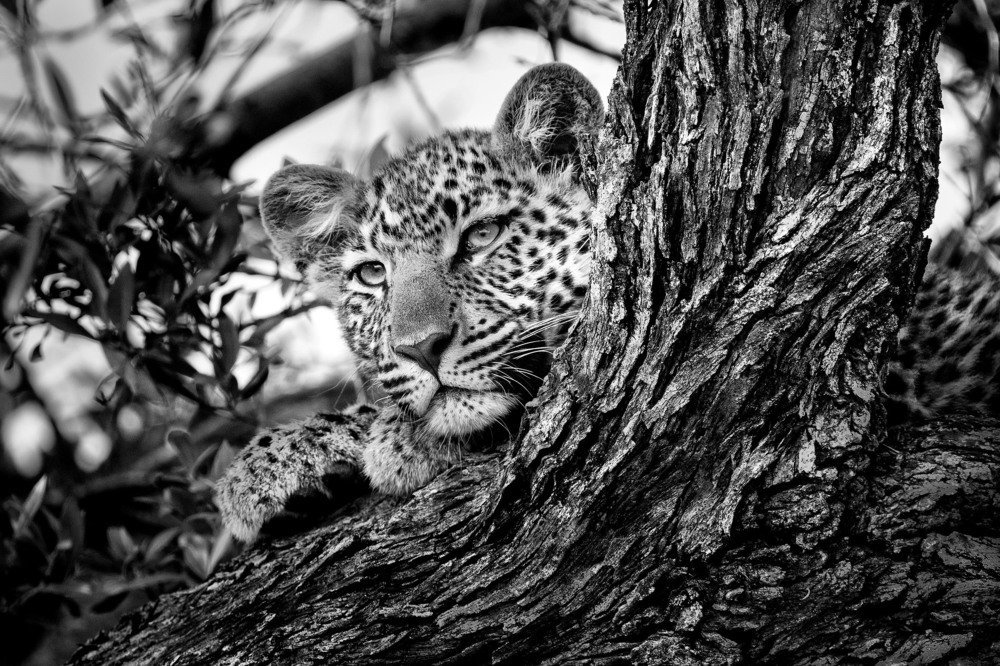 Photograph by EELIN Chan