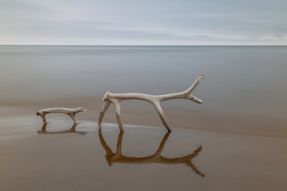 Photograph by Евгений Табалыкин