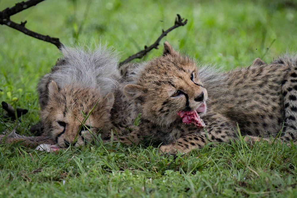 Photograph by EELIN Chan