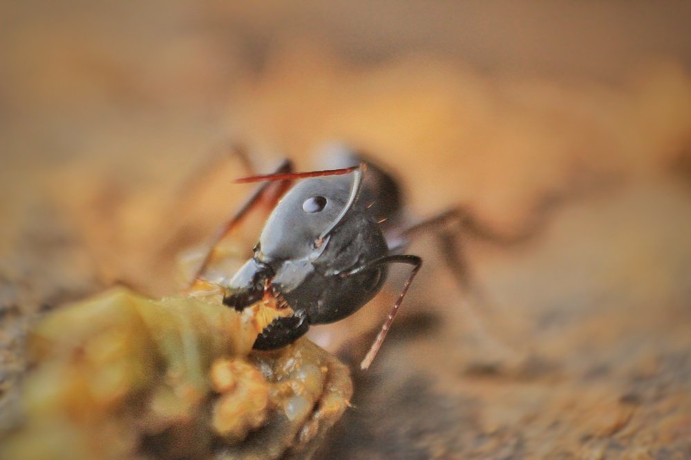 Photograph by atul mehta