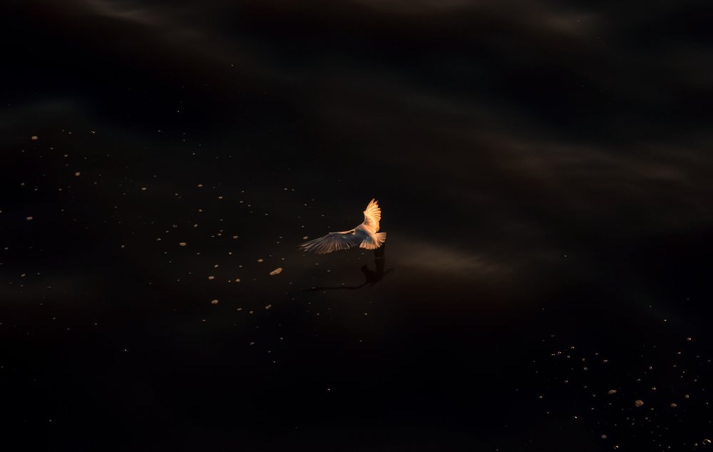 Photograph by Morteza Ghanbari