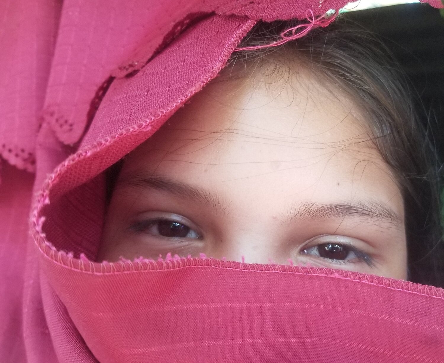 Photo #4701542