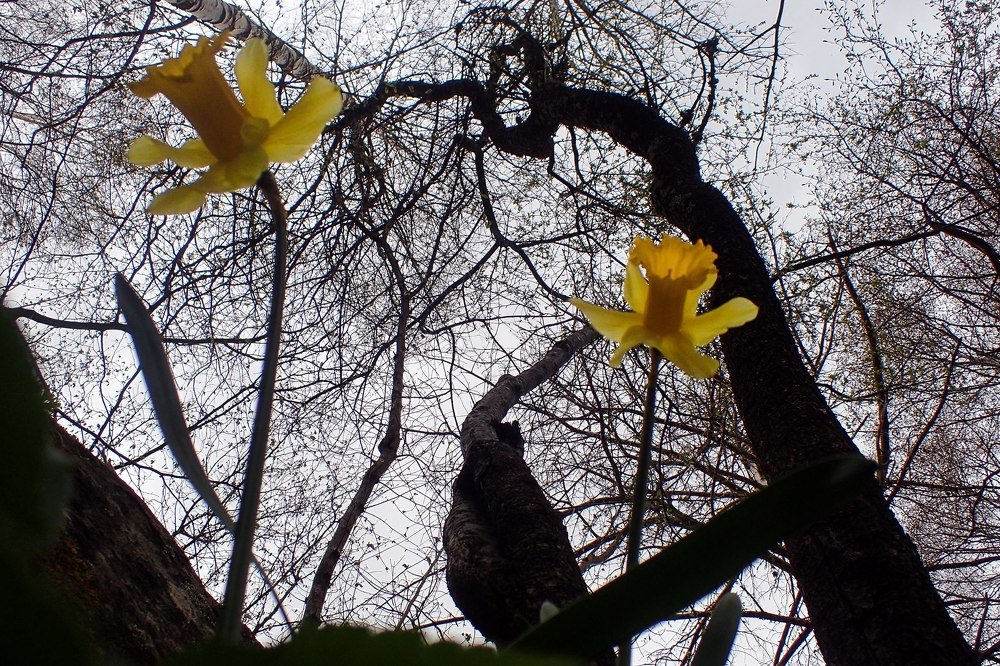 Photograph by Eti Borisova