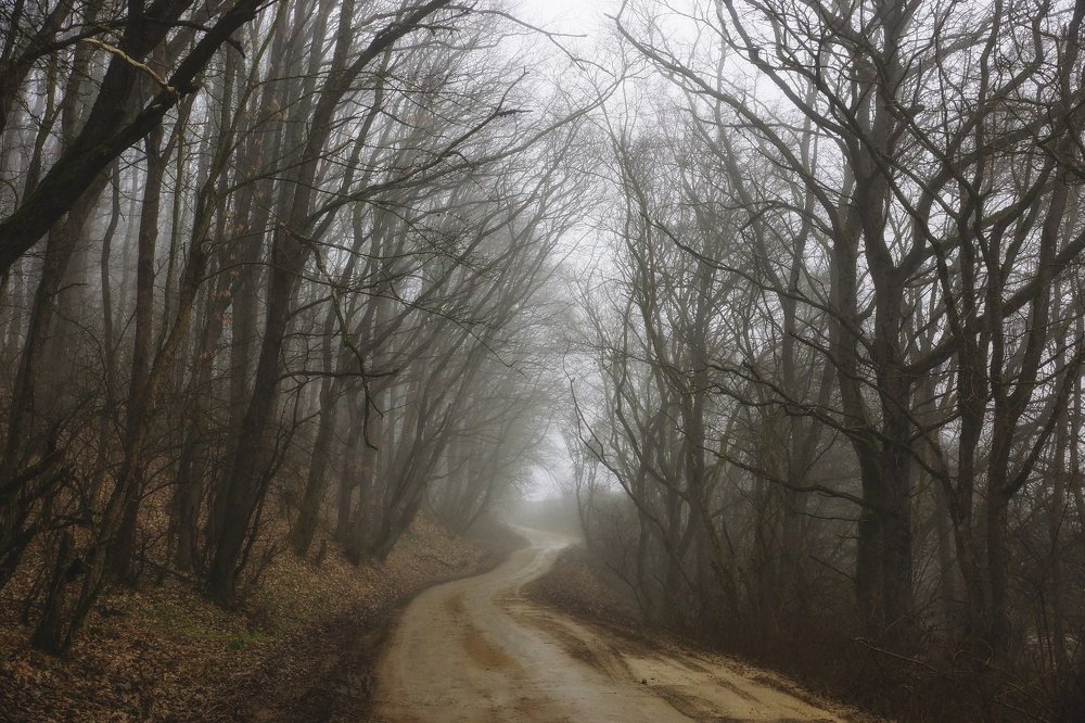 Photograph by Марина Гнедаш